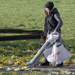 Ikra IBV 2800E Teleskopik Yaprak Toplama-Üfleme Makinesi 2800W