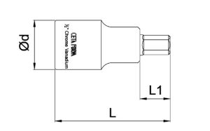 CETA FORM 1/2'' Allen Uçlu Lokma Kısa Tip 17 mm
