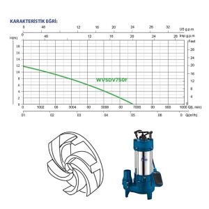 Rainpump WVSDV750F Döküm Gövde Kirli Su Drenaj Dalgıç Pompa