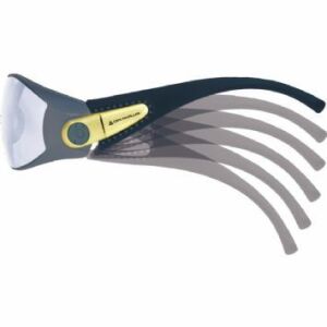 DELTA PLUS PACAYA Lyvız Şeffaf İş Güvenliği Gözlüğü