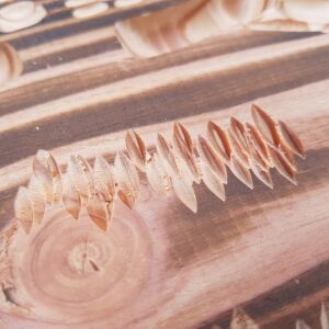 Manpa SCT Mini Ahşap Oyma Aparatı Üçgen Elmas - 6.0 mm Sap