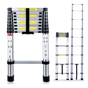 Master 504331 Paslanmaz Çelik Teleskopik Merdiven 290 cm