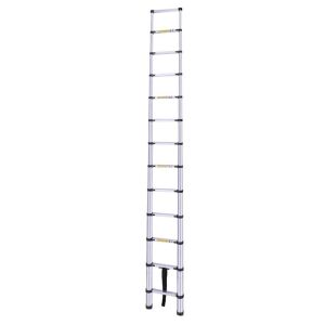 Master 504331 Paslanmaz Çelik Teleskopik Merdiven 290 cm