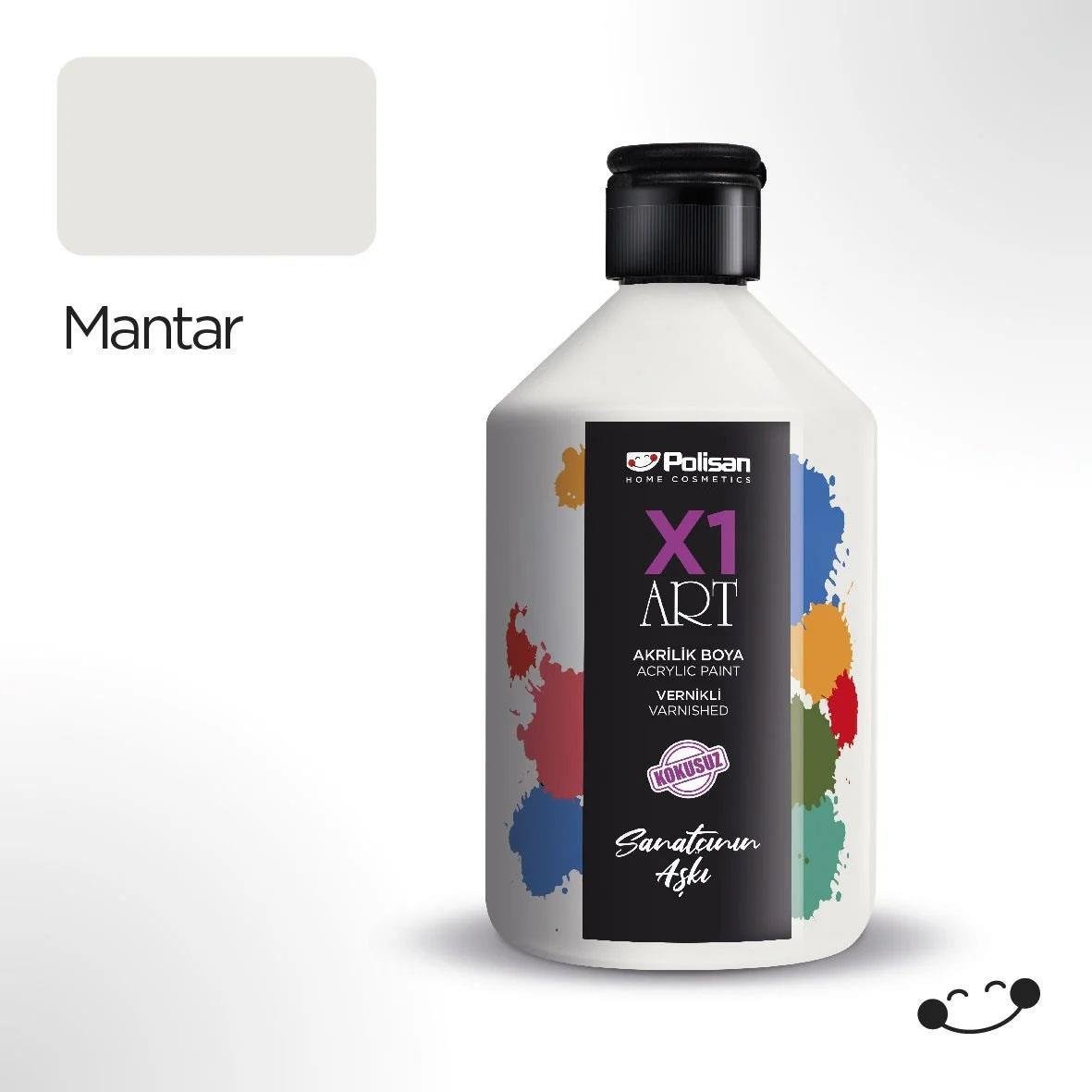 Polisan X1ART Vernikli Hobi Boyası 500ml - Mantar