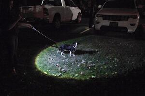 Nebo 6639 Redline V 500 Lümen 4x Zoom Pilli Led Fener