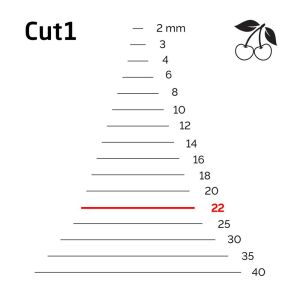 Kirschen 3101022 Düz Ağız Oyma Iskarpela Cut1 - 22mm