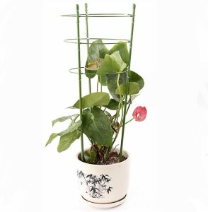Gardener 53698 Tırmanan Bitkiler İçin Halkalı Destek 90 cm