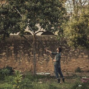 FISKARS PowerGear UPX86 Teleskopik Yüksek Dal Budama Makası