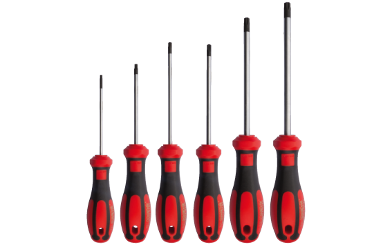 CETA FORM F99-605 C-Plus Torx Tornavida Takımı 6 Parça