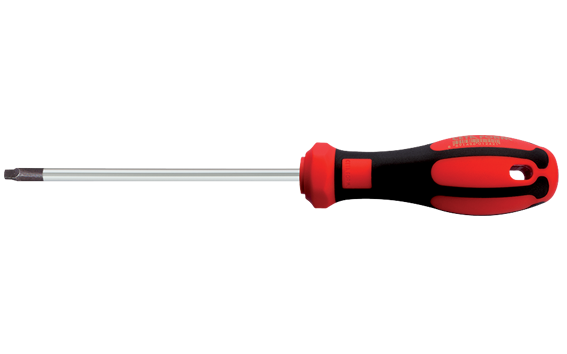 CETA FORM F24-001-100 C-Plus Kare Uçlu Tornavida No:1 (100 mm)