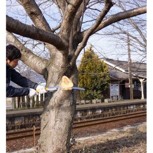 Silky BigBoy 2000 360-6.5 Budama Testere