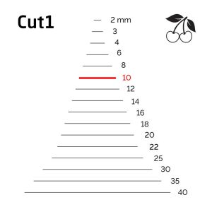 Kirschen 3101010 Düz Ağız Oyma Iskarpela Cut1 - 10mm