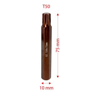 6569 Uzun Torx Bits Uç T50x75 mm (10 mm Saplı)