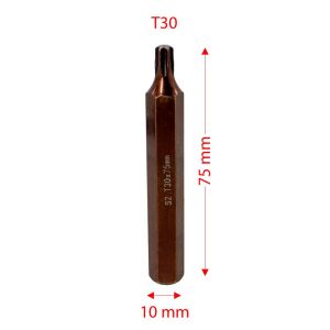 6566 Uzun Torx Bits Uç T30x75 mm (10 mm Saplı)
